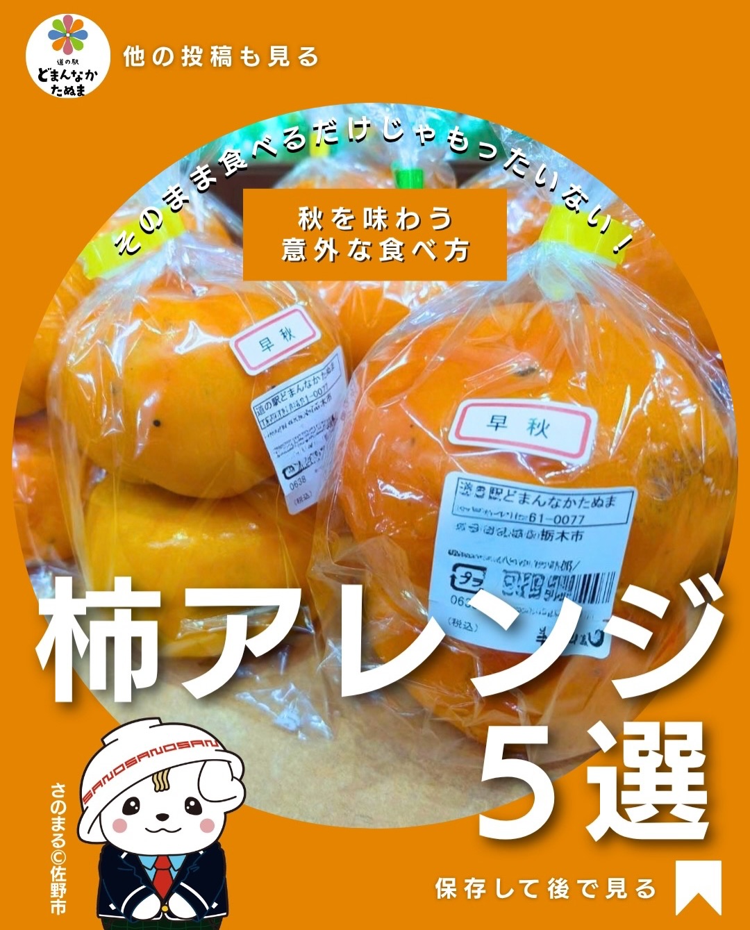 柿を買ったけど、結局いつもそのまま食べて終わり…

そんな方に試してほしい、簡単なのにちょっと意外な「柿アレンジ5選」をまとめました！

実は柿のやさしい甘みは、スイーツだけでなくチーズ・大根・豚肉など塩気のある食材とも相性◎。

切ってのせるだけのおつまみから、作り置きできる秋なます、ご飯が進む豚バラ巻き、熟しすぎた柿を活用できるアイスまで、シーンに合わせて選べます

特に熟した柿は「早く食べなきゃ！」となりがちですが、冷凍おやつにしておけば無駄なく楽しめます。

道の駅でおいしそうな柿を見つけたら、そのまま＋アレンジ料理で秋の味覚をたっぷり楽しんでみてください

 柿の季節に何度でも使えるよう保存がおすすめ！
 ①〜⑤、どれを作ってみたいですか？