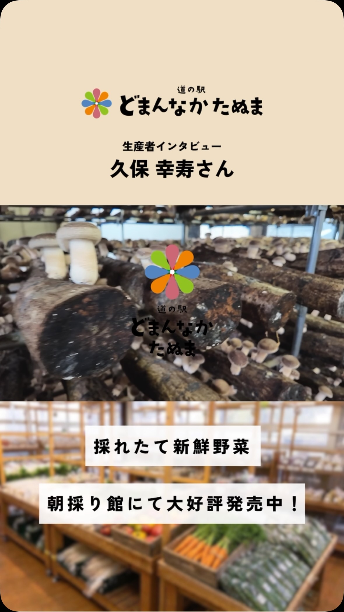 栃木県佐野市…道の駅どまんなかたぬま

今回は佐野市で原木椎茸を生産している
久保さんにご登場いただきました

どまんなかたぬまには
「原木椎茸がある！！」とても印象に残る
キャッチフレーズでした